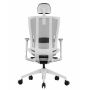   Duorest Duoflex Bravo BR-200M_W