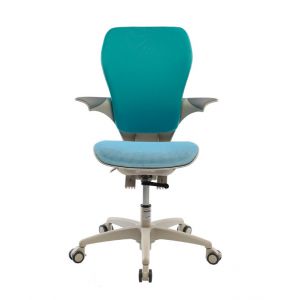 Ортопедическое кресло для школьника Duorest Junior JU-070MDS